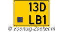 13DLB1