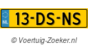 13DSNS