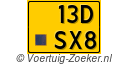 13DSX8