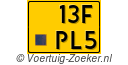 13FPL5