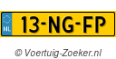 13NGFP