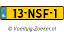 13NSF1