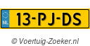 13PJDS