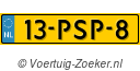 13PSP8