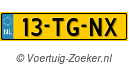 13TGNX
