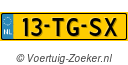 13TGSX