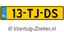 13TJDS