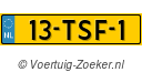 13TSF1