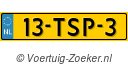 13TSP3
