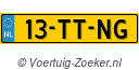 13TTNG