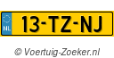 13TZNJ