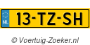 13TZSH