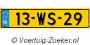 13-WS-29