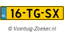 16TGSX