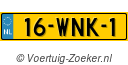 16-WNK-1