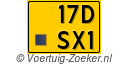 17-DSX-1