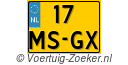 17MSGX
