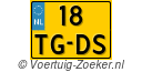 18TGDS