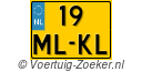 19MLKL