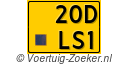 20-DLS-1