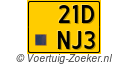 21-DNJ-3