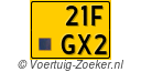 21-FGX-2