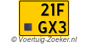 21-FGX-3