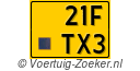 21FTX3