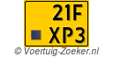 21FXP3