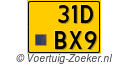 31-DBX-9
