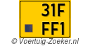 31-FFF-1