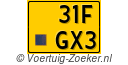 31FGX3