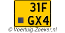 31FGX4