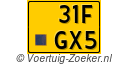 31-FGX-5