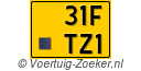 31FTZ1