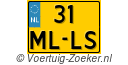 31-ML-LS