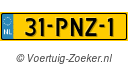 31PNZ1