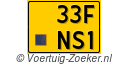 33FNS1