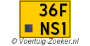 36FNS1