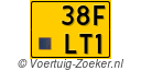 38FLT1