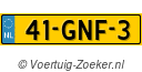 41GNF3