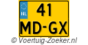 41MDGX