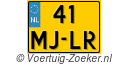 41MJLR