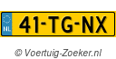 41TGNX