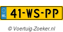 41-WS-PP