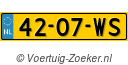 4207WS