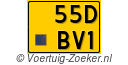 55-DBV-1