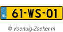 61WS01