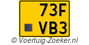 73-FVB-3