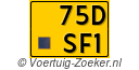 75-DSF-1
